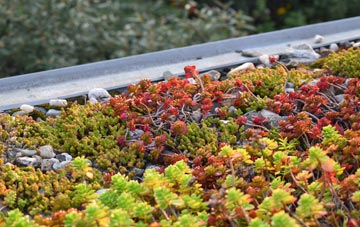 the cost of Kit Hill green roof installation