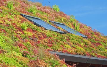 Kit Hill living roof systems