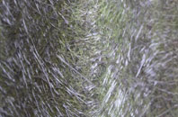 Kit Hill fibreglass roof work